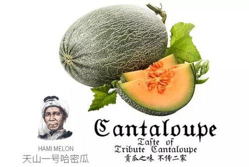 娱乐吃瓜群众1号,娱乐圈幕后那些事儿